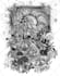 draw tropical paradise custom artwork of coastel flora fauna