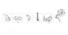 professionally draw your back tattoo design
