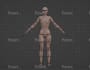 do 3d character rigging in blender, rigify rig, mixamo rig, auto rig pro