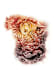 professionally draw your back tattoo design