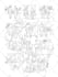 draw black and white detailed line art vector illustration