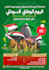 design tour, travel, summer, beach, pool,boat party flyer arabic,english,french