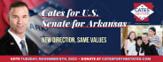 develop a personalized campaign logo