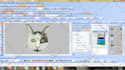 do vector or vector tracing in 1 day