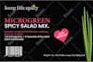 do all professional graphic design services