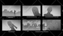 make a storyboard of your scene