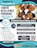 design promotive business flyer within 12 hours