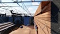 design your outdoor space