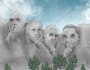 draw unique cartoon caricature single or group photo