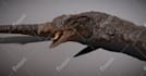do a 3d character model