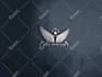 design custom modern minimalist logo and do branding for you