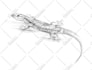 draw cool scribble art from portrait photo