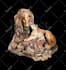 photo background removal cut out image within 24 hours