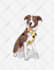 create enchanting watercolor cartoon portraits of your pet