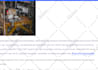 do genuine blogger outreach for niche edits and guest posts