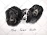 draw realistic color pencil pet portrait, pet sketch
