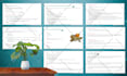 design canva worksheet, workbook and document formatting