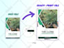 design a professional print and digital catalog from scratch