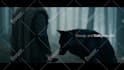 produce a pro level official music video