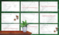design canva worksheet, workbook and document formatting