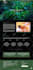 do wordpress website design and development or business website redesign