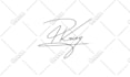 design a real handwritten signature logo or autograph