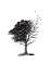 professionally draw your back tattoo design