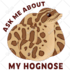 design cute stickers, sticker sheets, animals and objects