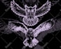 do detailed dark art illustration metal album cover or logo