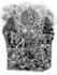 professionally draw your back tattoo design