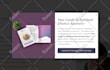 completely setup mailchimp automation email campaign