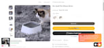 integrate paypal in your website