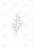 create a minimalist fine line tattoo design
