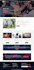 design or redesign wordpress business website