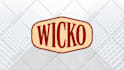 create new business logo or edit, redesign, update, or vectorize existing design