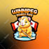 design custom mascot logo, cartoon for esports team, twitch, youtube