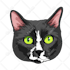 draw cartoon sticker style pet portrait on procreate