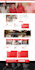 design or redesign wordpress business website