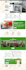 design a professional wordpress website or web design
