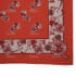 do 10 image clipping path