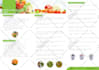 design spa, skincare, beauty product, flyer and brochure