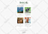 setup ecommerce email marketing flows in klaviyo