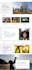 design or redesign your wordpress website for speed and conversions