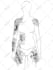 draw glorious art with bw engraving style, ideal for tattoo