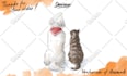 draw a simple watercolor portrait of your pet