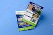 design professional modern flyers with infographic