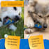 edit, retouch or combine photos, and create custom mockups