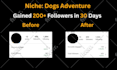 manage instagram marketing to grow and promote organic followers engagement
