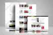 do wordpress website design and development or business website redesign