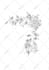 hand draw your amazing custom tattoo design